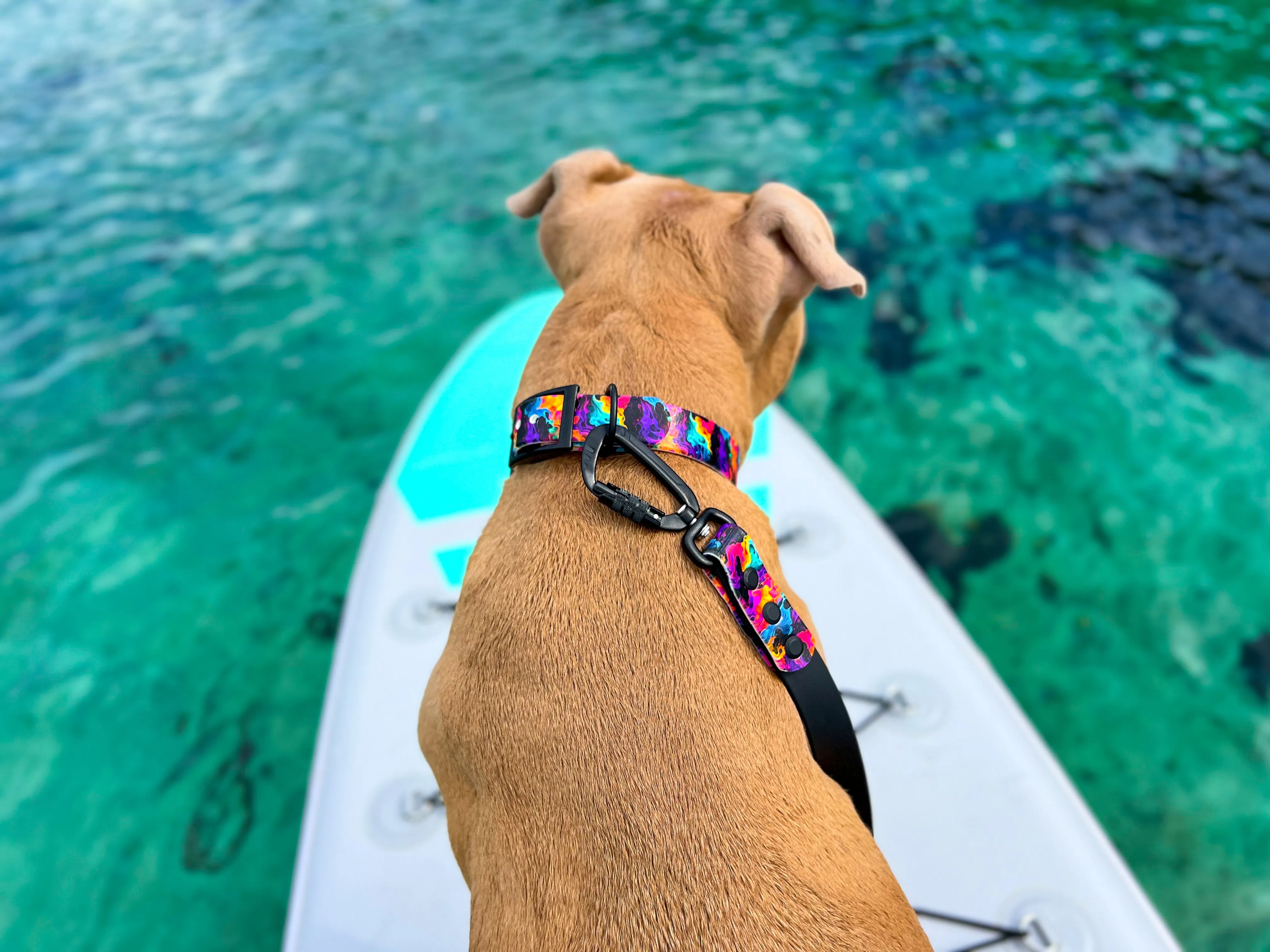 Blaze BioThane® Leash