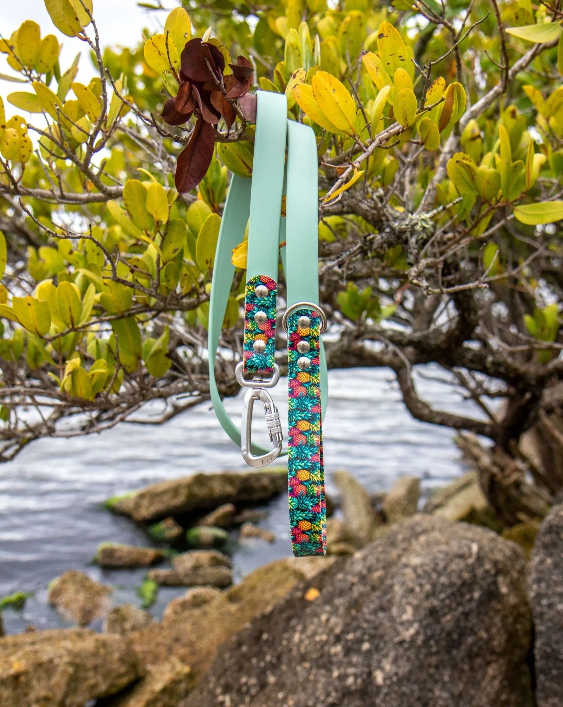 Pineapples BioThane® Leash